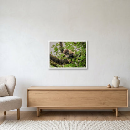 Animal Kingdom #14 — 59×42cm, 23×17" White Frame