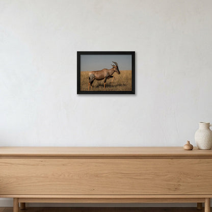 Animal Kingdom #3 — A4 (30×21cm, 12×8") Black Frame