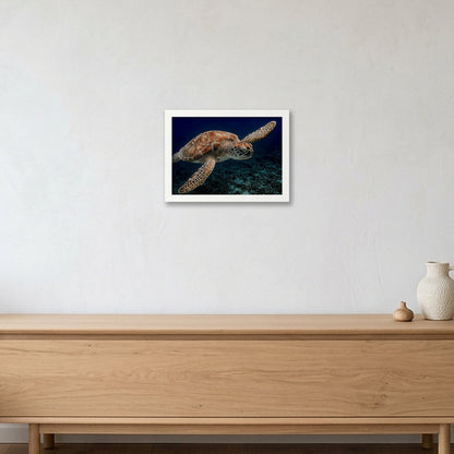 Animal Kingdom #4 — A4 (30×21cm, 12×8") White Frame