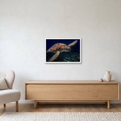 Animal Kingdom #4 — 60×40cm, 24×16" White Frame