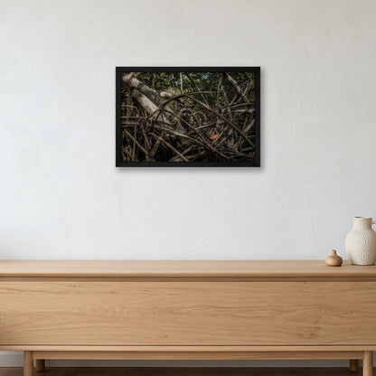 Animal Kingdom #2 — 45×30cm, 18×12" Black Frame