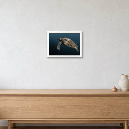 Animal Kingdom #1 — A4 (30×21cm, 12×8") White Frame