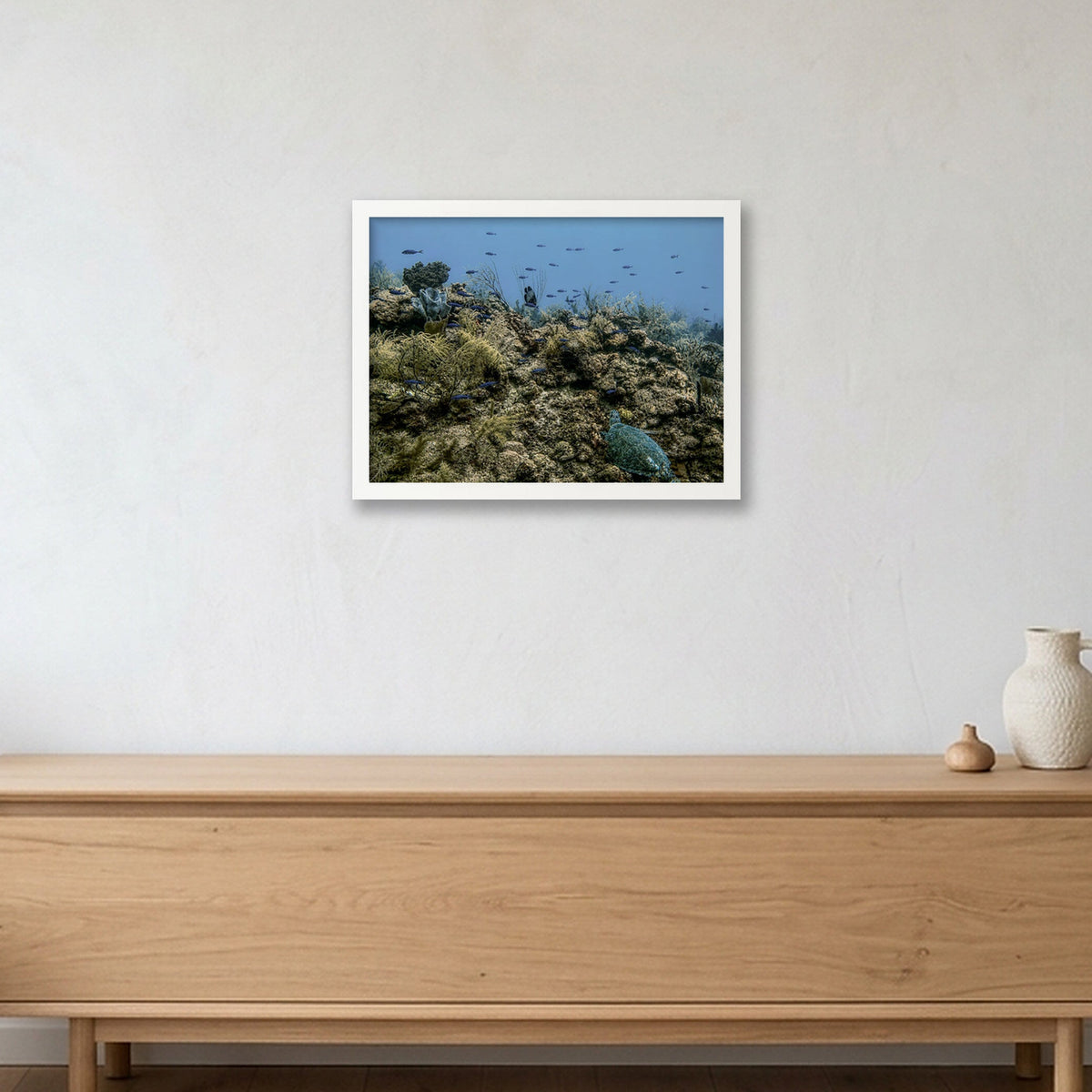 Animal Kingdom #16 — 40×30cm, 16×12" White Frame