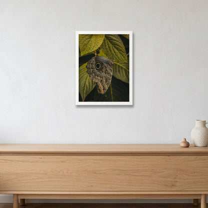 Animal Kingdom #17 — 30×40cm, 12×16" White Frame