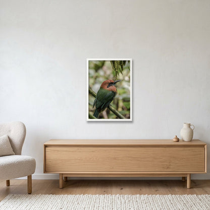 Animal Kingdom #11 — 42×59cm, 17×23" White Frame