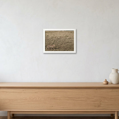 Animal Kingdom #5 — A4 (30×21cm, 12×8") White Frame