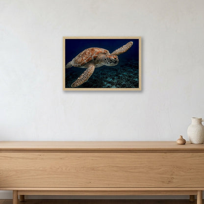 Animal Kingdom #4 — 45×30cm, 18×12" Oak Frame