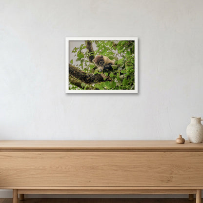 Animal Kingdom #14 — 40×30cm, 16×12" White Frame