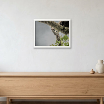 Animal Kingdom #15 — 40×30cm, 16×12" White Frame