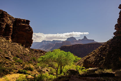 Grand Canyon #11