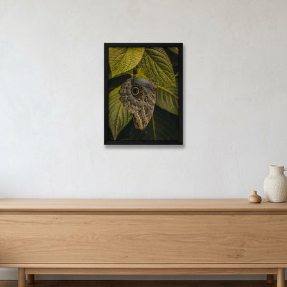 Animal Kingdom #17 — 30×40cm, 12×16" Black Frame